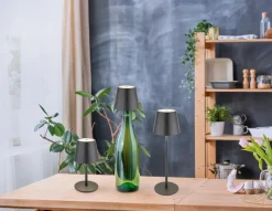 Globo Akku-Tischleuchte Vannie I