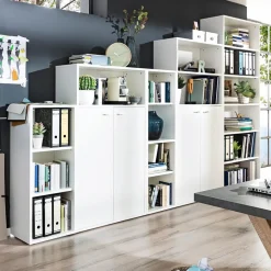 Mäusbacher Aktenregal Mister Office