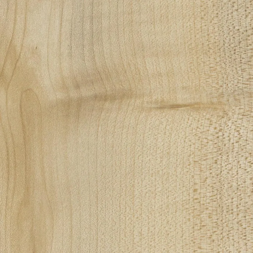 Clearance Aktenschrank Big Profi Office Büroschränke & Regale