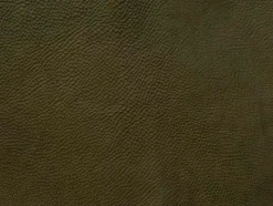 bert plantagie Bank Maple