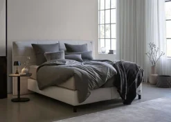 JOOP! Bettwäsche|Bettwäsche Soft 155 x 220 cm