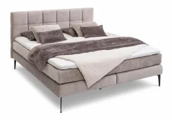 Betten|Boxspringbett Adel 160 x 200 cm
