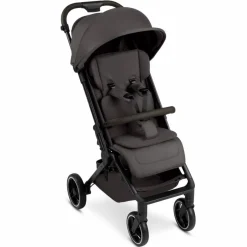 New Buggy Ping 3 Trekking Kinder Kinderbuggys