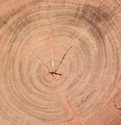 Kave Home Couchtisch Tanive