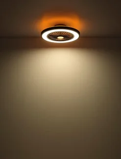 Globo Deckenventilator Blizzak