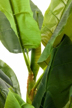 KARE DESIGN Grünpflanzen|Dekofiguren Tiere & Pflanzen|Deko Pflanze 64003 Banana Tree