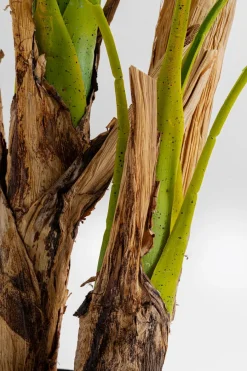 KARE DESIGN Grünpflanzen|Dekofiguren Tiere & Pflanzen|Deko Pflanze 51789 Palm Tree