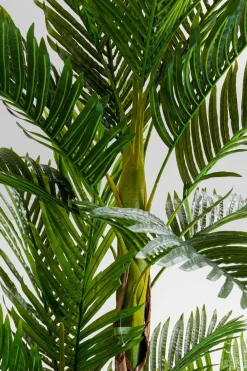 KARE DESIGN Grünpflanzen|Dekofiguren Tiere & Pflanzen|Deko Pflanze 51789 Palm Tree