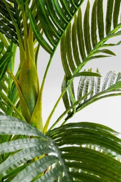 KARE DESIGN Grünpflanzen|Dekofiguren Tiere & Pflanzen|Deko Pflanze 51789 Palm Tree