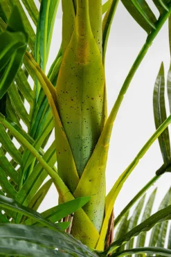 KARE DESIGN Grünpflanzen|Dekofiguren Tiere & Pflanzen|Deko Pflanze 51789 Palm Tree