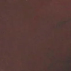 Hot Deko-Objekt Trockenblume - Apfel Grünpflanzen