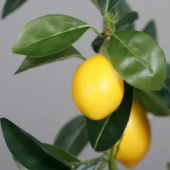 Dekofiguren Tiere & Pflanzen|Deko-Objekt Zitronen-Arrangement 60 cm