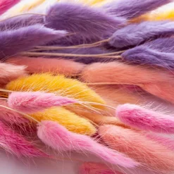 Grünpflanzen|Deko-Strauß Samtgras 50 cm