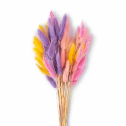 Grünpflanzen|Deko-Strauß Samtgras 50 cm