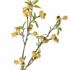 Grünpflanzen|Deko-Zweig Hawthorn 84 cm