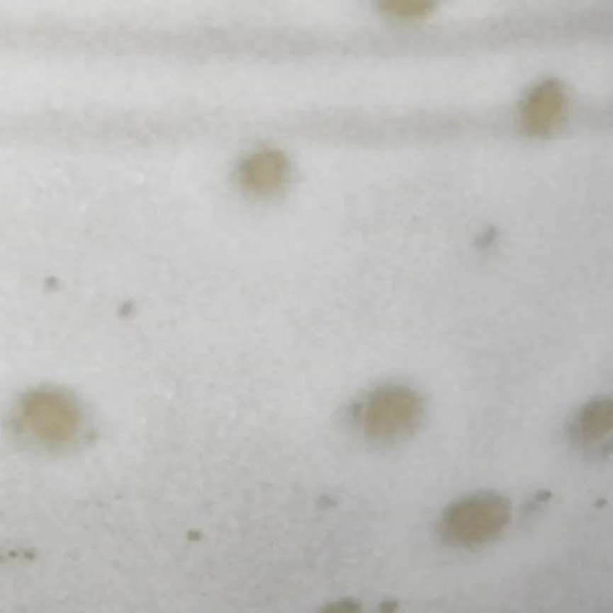 Fürstenhof Schalen & Schüsseln|Schalen & Schüsseln|Dipschale Sofia Ø 10,5 cm