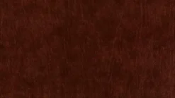 Willi Schillig Sofas & Couches|Ecksofa 20550 alessiio