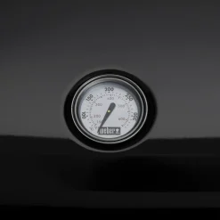 Weber Weber Grills & Grillzubehör|Elektrogrill Lumin