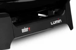Weber Weber Grills & Grillzubehör|Elektrogrill Lumin
