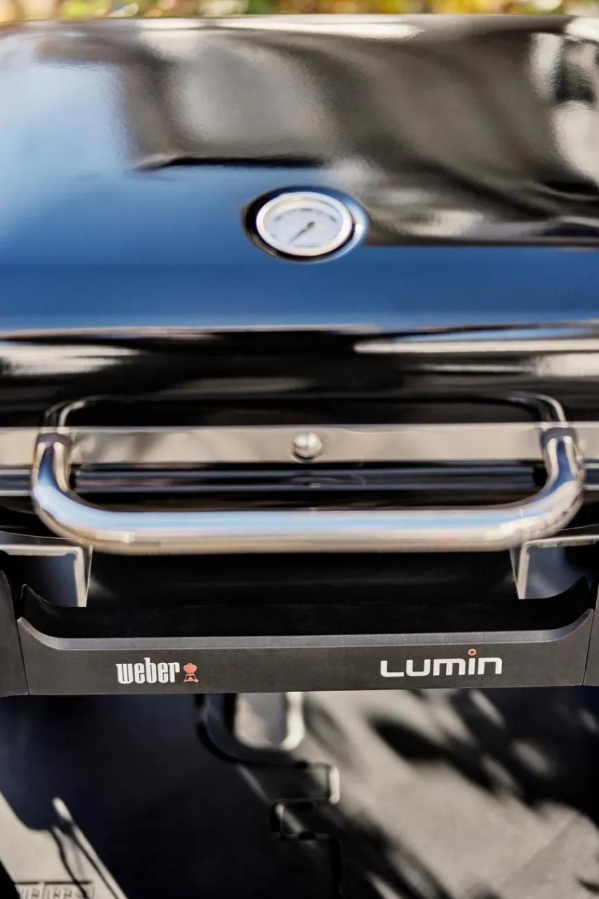 Weber Weber Grills & Grillzubehör|Elektrogrill Lumin