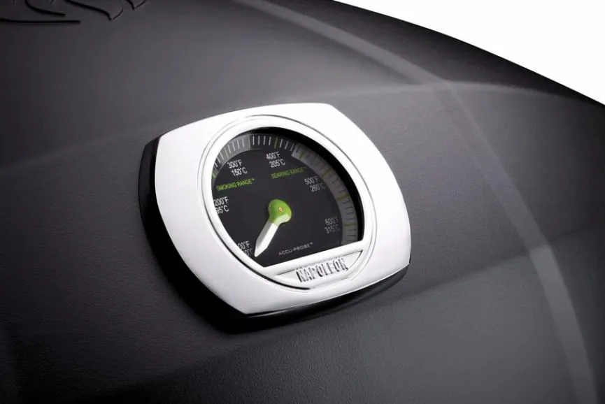 Napoleon Napoleon Grills & Grillzubehör|Elektrogrills|Elektrogrill TRAVELQ™ PRO285