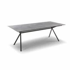 bert plantagie Esstische|Esstisch Aiven 220 x 99,6 cm