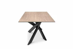 set one by Musterring Esstische|Esstisch Baltimore 200 x 100 cm