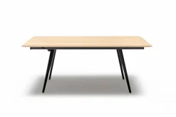 Gutekunst - Die Möbelkollektion Esstische|Esstisch Orbit 220 x 100 cm