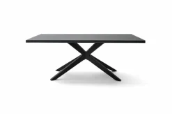 Hot Esstisch Tiama 220 x 100 cm Esstische