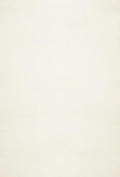 Fellimitat Ioreypsum