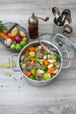 ELO Fleischtopf Citrin 24 cm