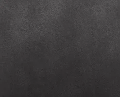 MCA Stühle|Freischwinger Acroma