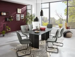 Musterring Freischwinger Nevio V1444