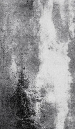 Wash & Dry Fußmatten|Fußmatte Aura 70 x 120 cm