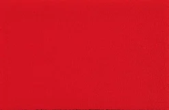 Discount Fußmatte Scarlet 50 x 75 cm Fußmatten
