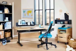 Kinder Paidi Kinder- & Jugendschreibtische|Kinder- & Jugendschreibtische|Funktionsboard