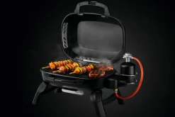 Napoleon Napoleon Grills & Grillzubehör|Gasgrill TRAVELQ™ 240
