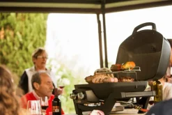Sale Gasgrill TRAVELQ™ PRO285 Napoleon Grills & Grillzubehör
