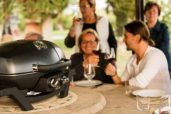 Sale Gasgrill TRAVELQ™ PRO285 Napoleon Grills & Grillzubehör