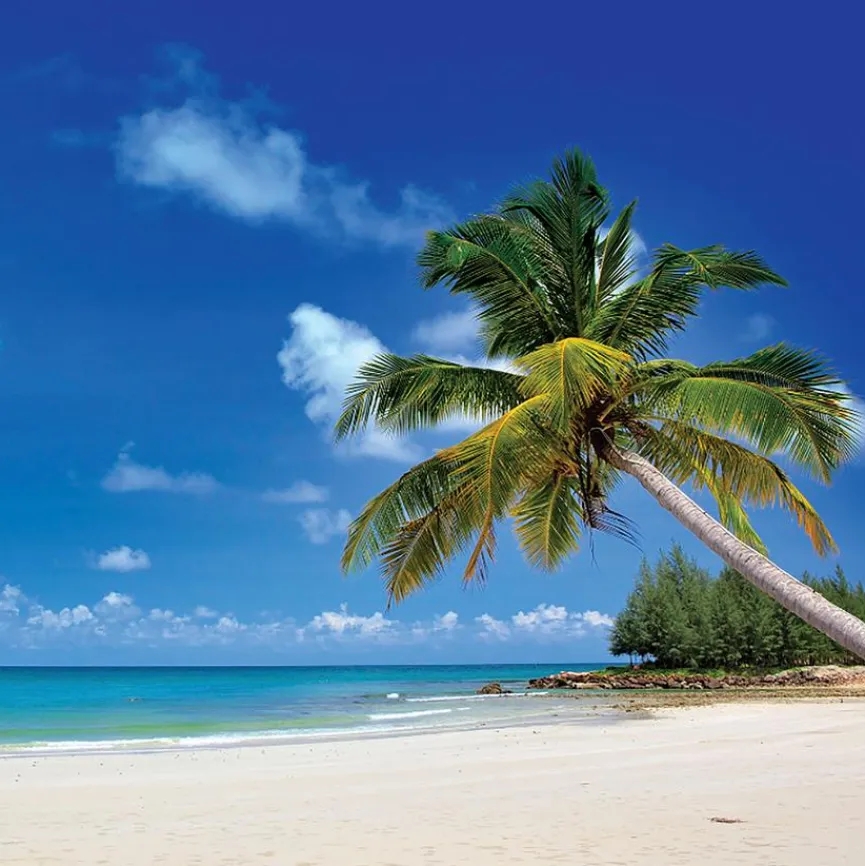 EUROART Bilder Nach Themen|Bilder Ohne Rahmen|Glasbild 30 x 30 cm Chilling Zone III