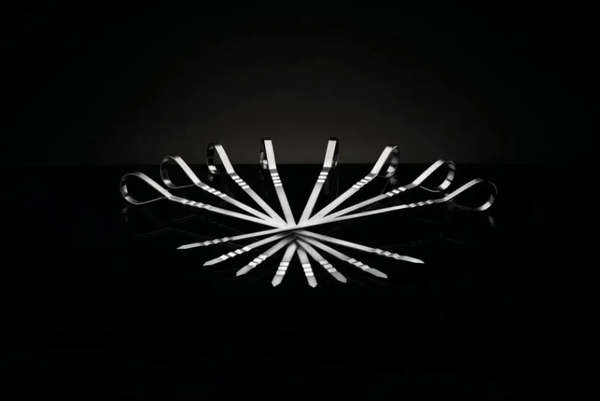 Napoleon Grillspieße 8tlg. Edelstahl