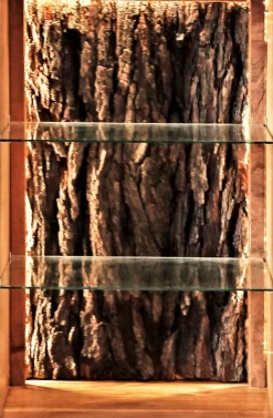 Online Highboard Bark 4067 Kommoden|Kommoden