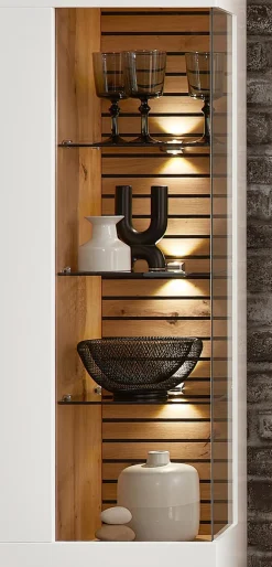 Online Hängevitrine Duron Vitrinen