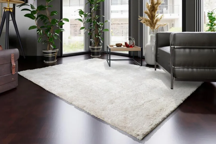 Clearance Hochflorteppich Diego 170 x 240 cm Hochflorteppiche Shaggy