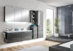 Pelipal Hochschrank 6025