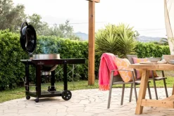 Discount Holzkohlegrill Kugelgrill PRO-CART Napoleon Grills & Grillzubehör