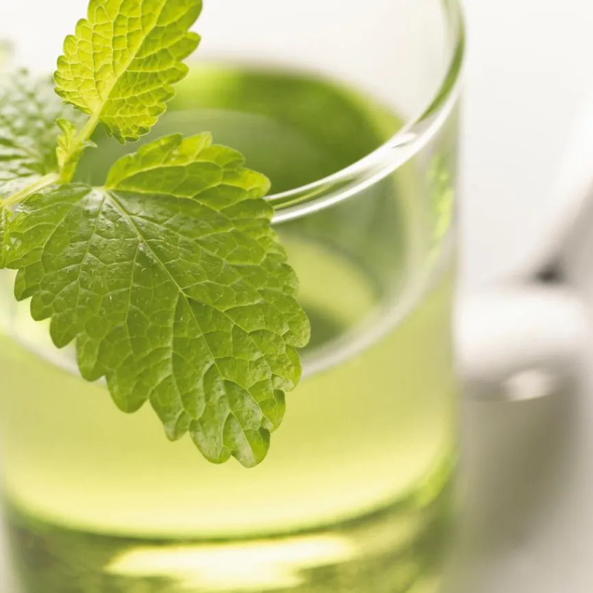 Leonardo Kaffee & Tee|Kaffeebecher Novo 350 ml