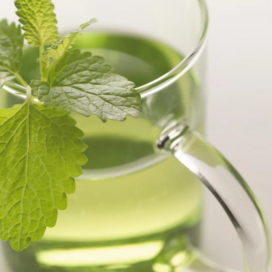 Leonardo Kaffee & Tee|Kaffeebecher Novo 350 ml