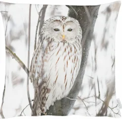 Apelt Dekokissen|Dekokissen & -Bezüge|Kissen 45 x 45 cm