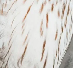 Apelt Dekokissen|Dekokissen & -Bezüge|Kissen 45 x 45 cm